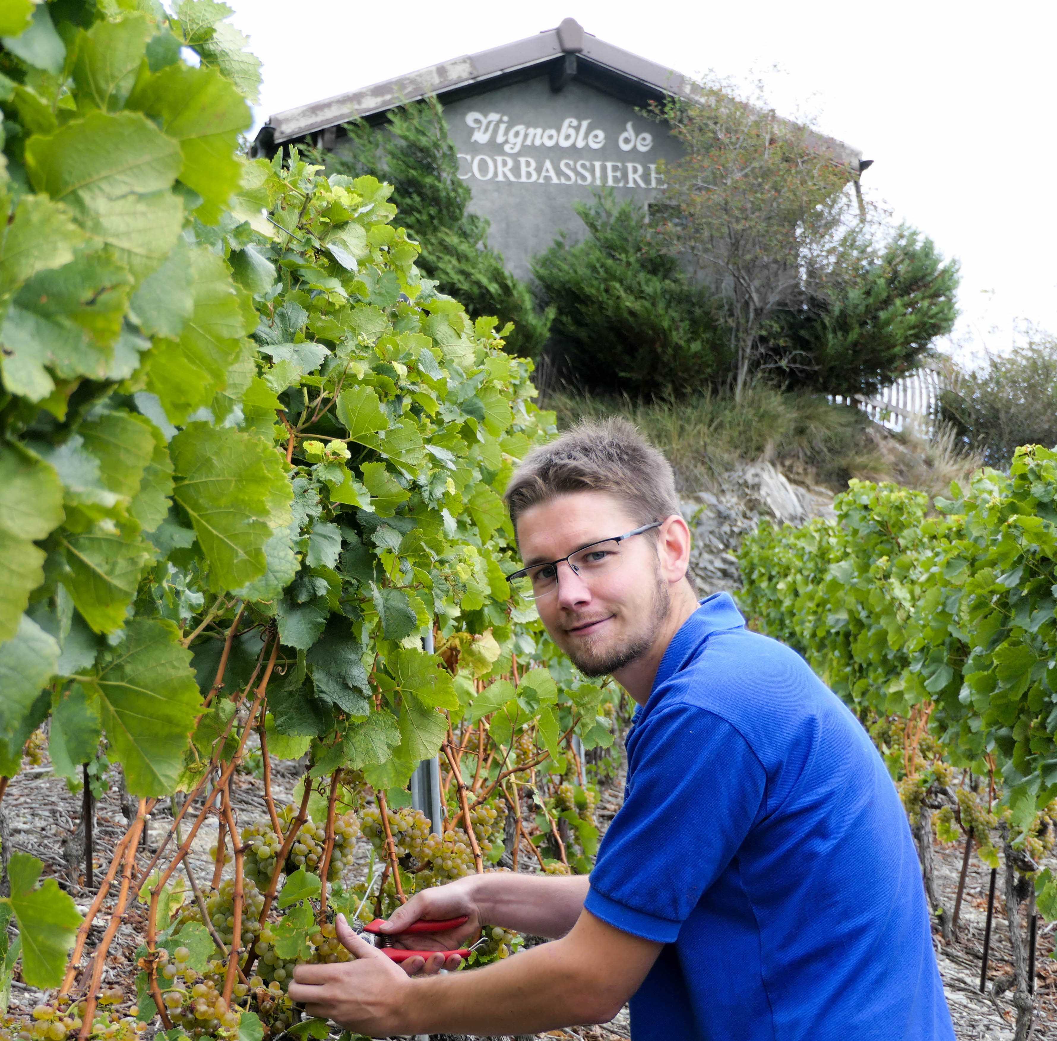 Cave Corbassière