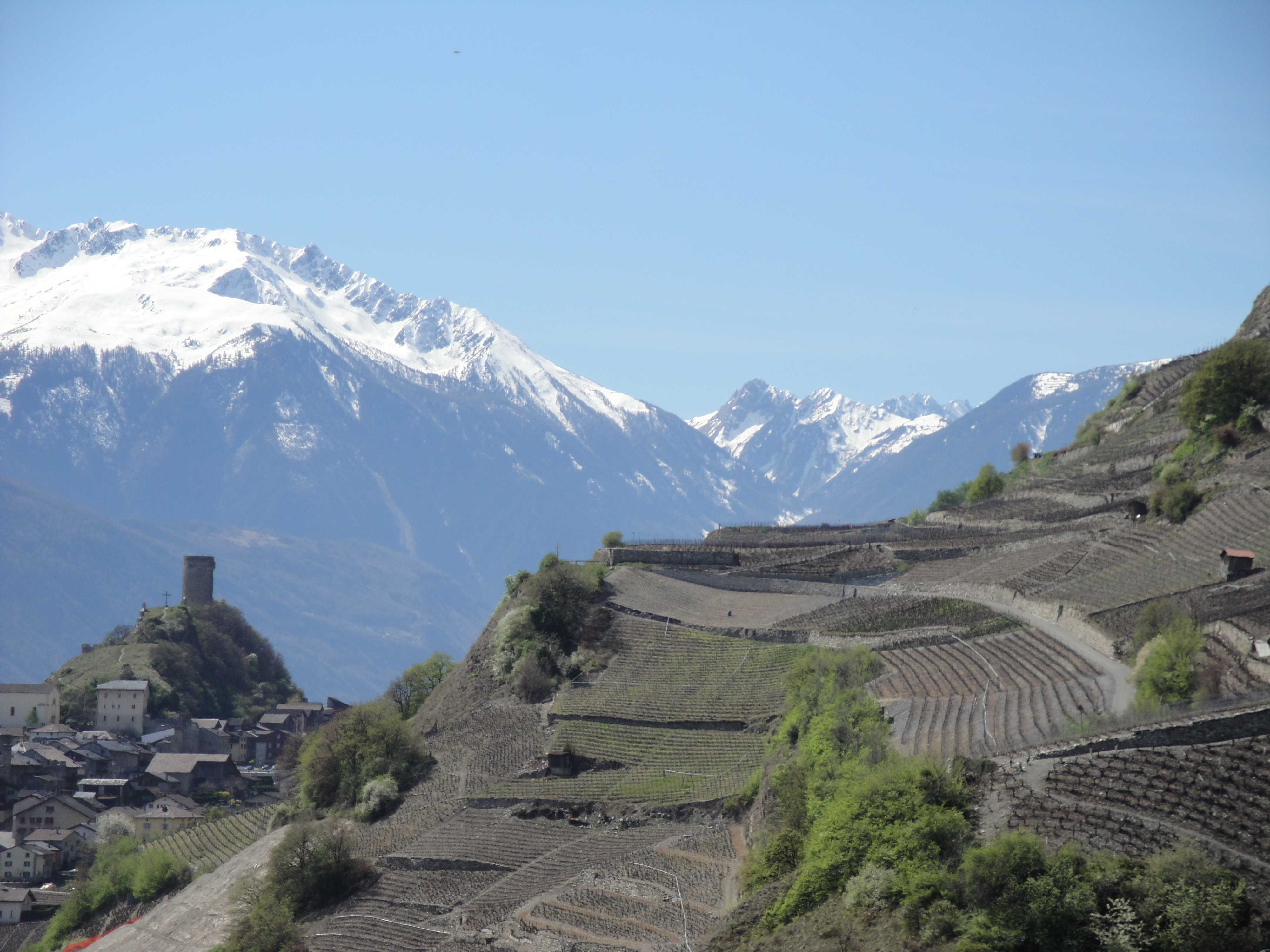 Cave des Amandiers